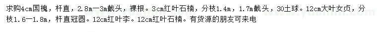 求购国槐、红叶石楠、大叶女贞等