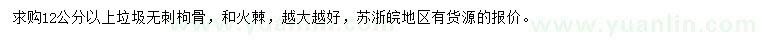 求购12公分以上无刺枸骨、火棘