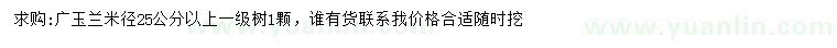 求购米径25公分以上广玉兰