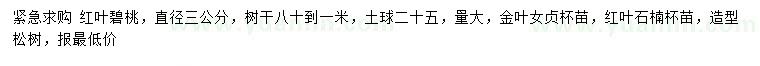 求购红叶碧桃、金叶女贞、红叶石楠