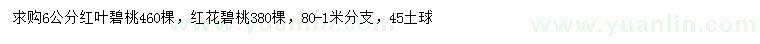 求购6公分红叶碧桃、红花碧桃