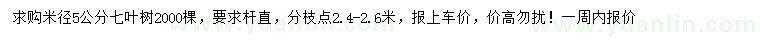 求购米径5公分七叶树