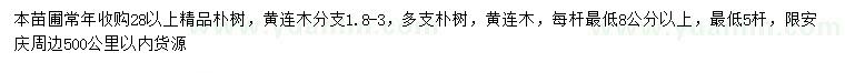 求购28公分以上朴树、黄连木