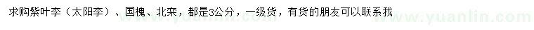 求购紫叶李、国槐、北栾