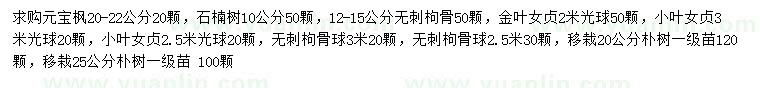 求购元宝枫、石楠、无刺枸骨等