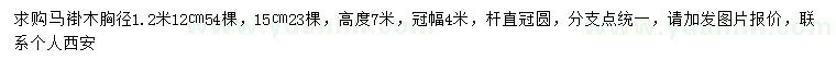 求购胸径12、15公分马褂木