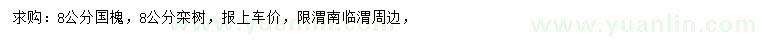 求购8公分国槐、栾树