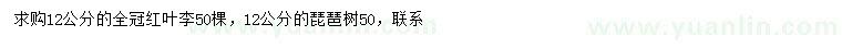 求购12公分红叶李、12公分枇杷树