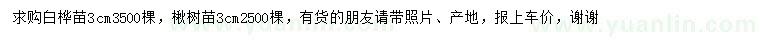 求购3公分白桦苗、楸树苗