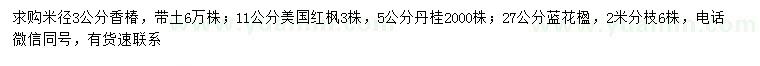 求购香椿、美国红枫、丹桂等