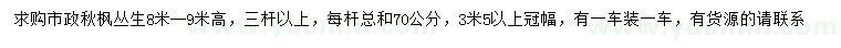 求购高8-9米丛生秋枫