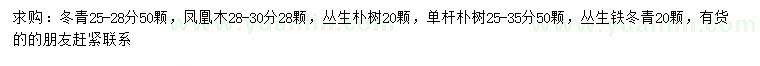 求购冬青、凤凰木、丛生朴树等