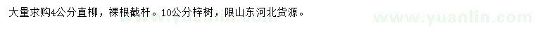 求购4公分直柳、10公分梓树