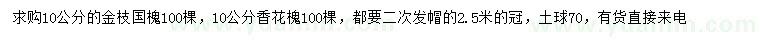 求购10公分金枝国槐、香花槐