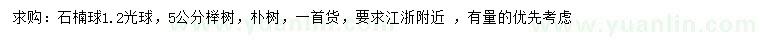 求购石楠球、榉树、朴树