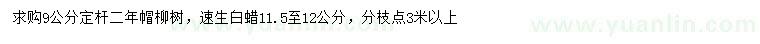 求购9公分柳树、11.5-12公分速生白蜡