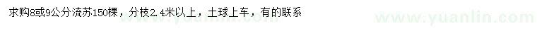 求购8、9公分流苏