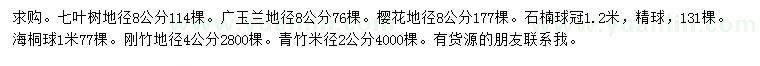 求购七叶树、广玉兰、樱花等