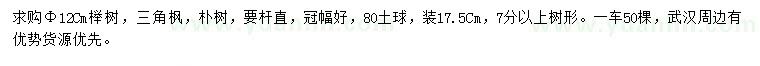 求购榉树、三角枫、朴树