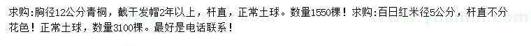 求购胸径12公分青桐、米径5公分百日红
