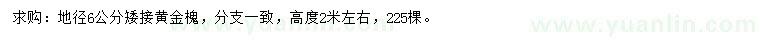 求购地径6公分黄金槐