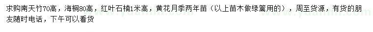 求购南天竹、海桐、红叶石楠等