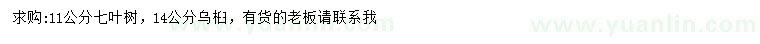 求购11公分七叶树、14公分乌桕