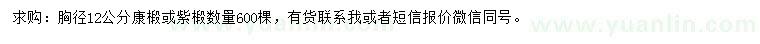 求购胸径12公分康椴、紫椴