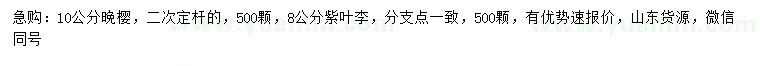 求购10公分晚樱、8公分紫叶李