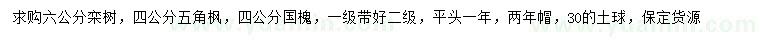 求购栾树、五角枫、国槐