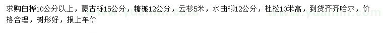 求购白桦、蒙古栎、糖槭等