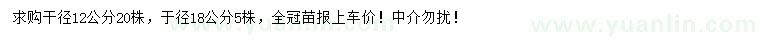 求购12、18公分乐昌含笑