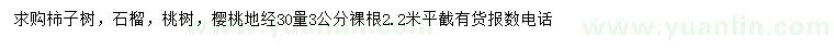 求购柿子树、石榴、桃树等