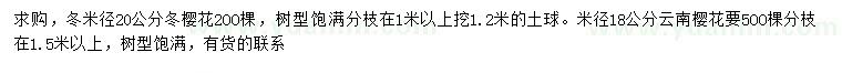 求购米径20公分冬樱花、米径18公分云南樱花