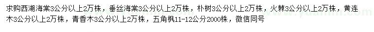 求购西湖海棠、垂丝海棠、朴树等