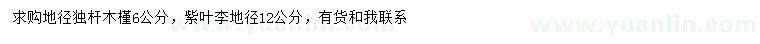 求购地径6公分木槿、地径12公分紫叶李