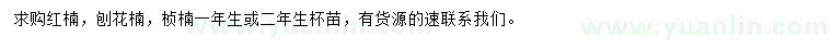 求购红楠、刨花楠、桢楠小苗