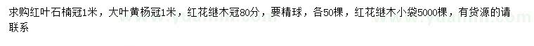 求购红叶石楠球、大叶黄杨球、红花继木球等