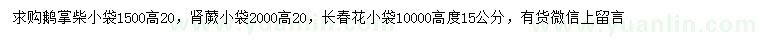 求购鹅掌柴、肾蕨、长春花