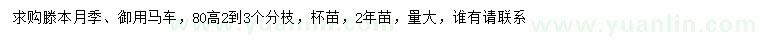 求购高80公分滕本月季、御用马车