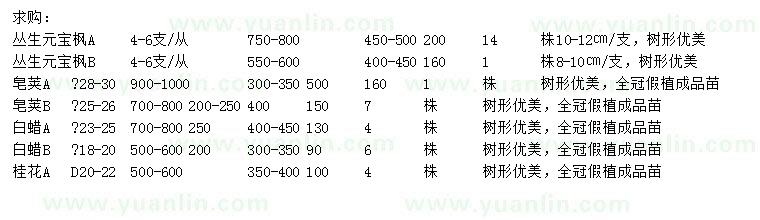 求购丛生元宝枫、皂荚、白蜡等