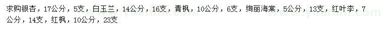 求购银杏、白玉兰、青枫等