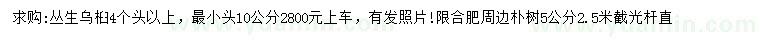 求购4个头以上丛生乌桕、5公分朴树