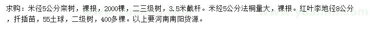 求购栾树、法桐、红叶李