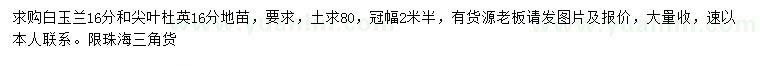 求购16公分白玉兰、尖叶杜英