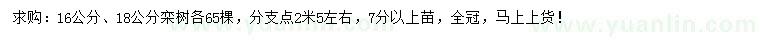 求购16、18公分栾树