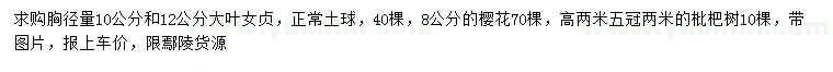 求购大叶女贞、樱花、枇杷树