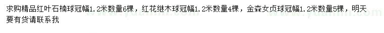 求购红叶石楠球、红花继木球、金森女贞球