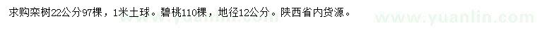 求购22公分栾树、地径12公分碧桃