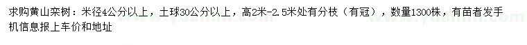 求购米径4公分以上黄山栾树